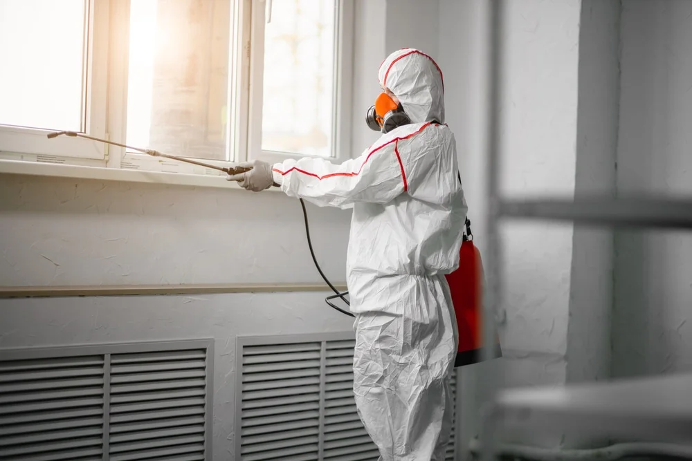 Professional mold remediation services in Captain Cook, HI